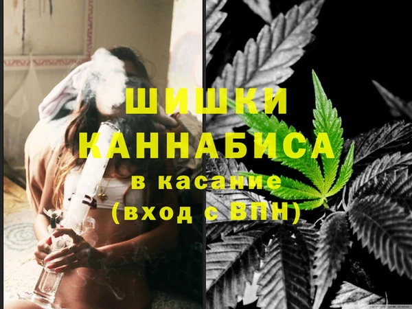 хмурый Осинники