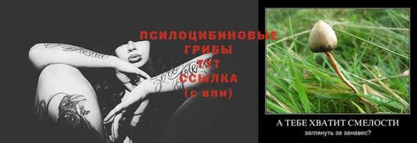 хмурый Осинники