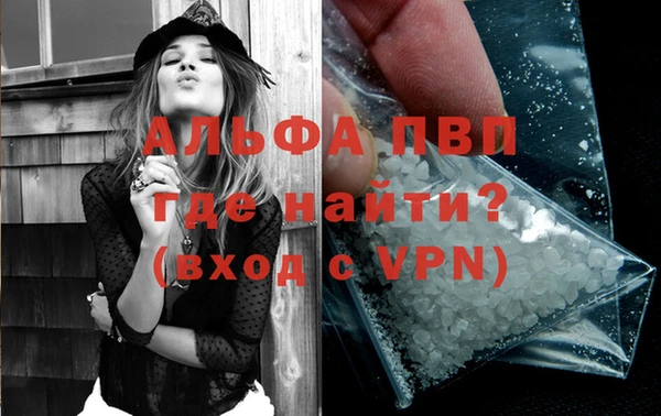 хмурый Осинники