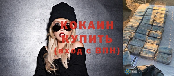 хмурый Осинники