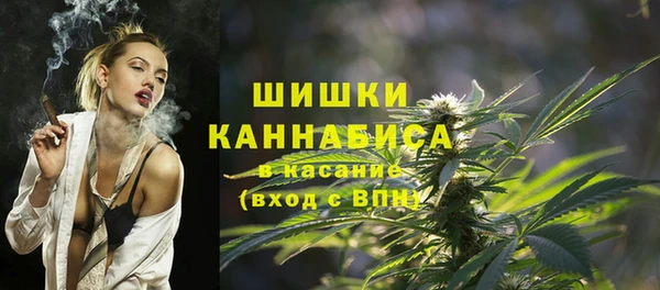 прущие крисы Гвардейск