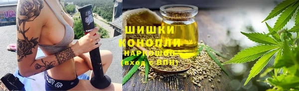 хмурый Осинники