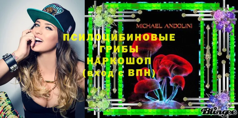 Галлюциногенные грибы Magic Shrooms  закладка  OMG   Курильск 