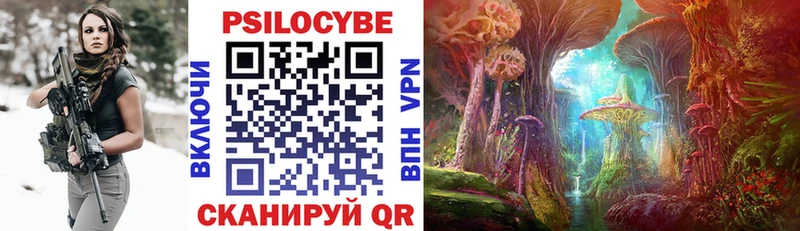 MEGA ТОР  Курильск  Галлюциногенные грибы GOLDEN TEACHER 